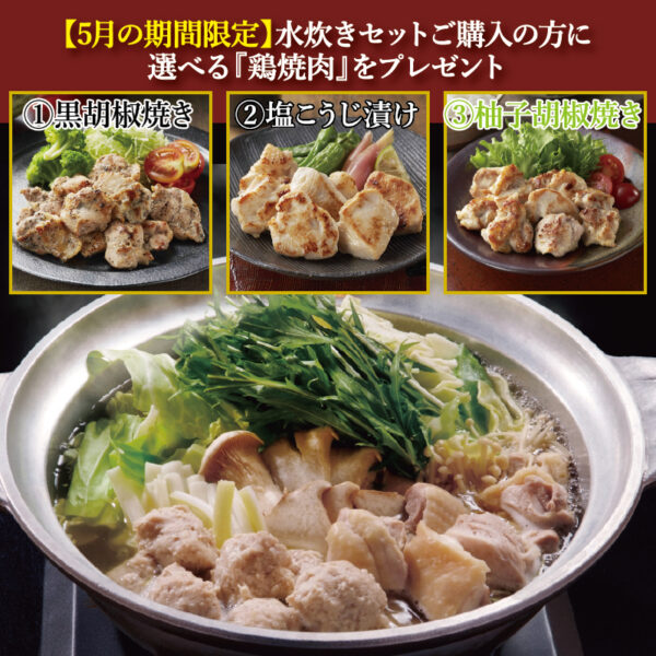 みつせ鶏水炊き(大)と選べる鶏焼肉セット